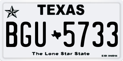TX license plate BGU5733