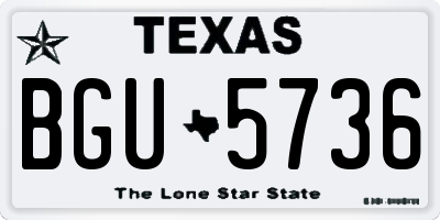 TX license plate BGU5736