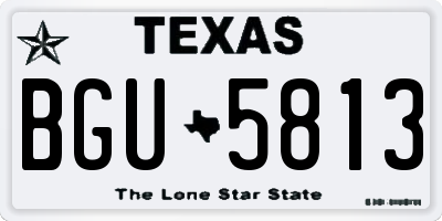 TX license plate BGU5813