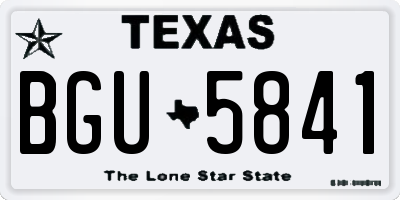 TX license plate BGU5841