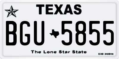 TX license plate BGU5855