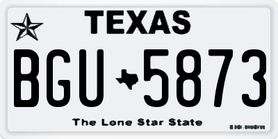 TX license plate BGU5873