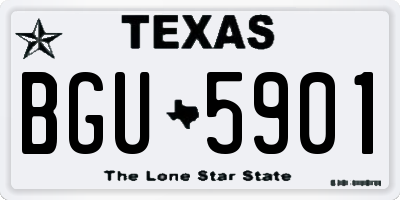 TX license plate BGU5901