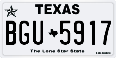 TX license plate BGU5917