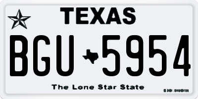 TX license plate BGU5954