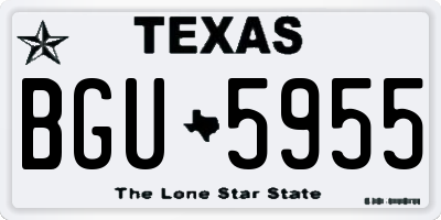 TX license plate BGU5955