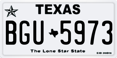 TX license plate BGU5973