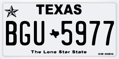 TX license plate BGU5977