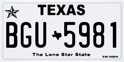 TX license plate BGU5981