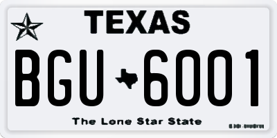 TX license plate BGU6001