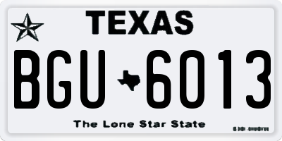 TX license plate BGU6013