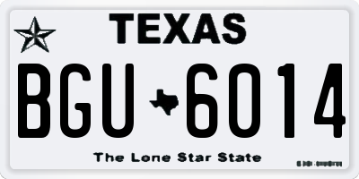 TX license plate BGU6014