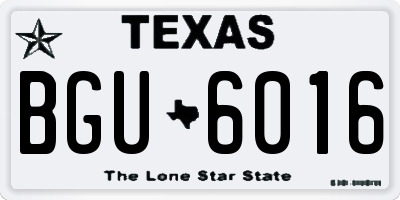 TX license plate BGU6016
