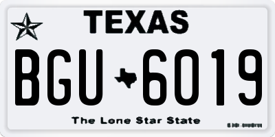 TX license plate BGU6019