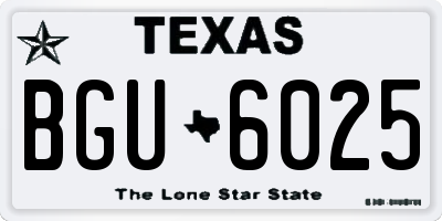 TX license plate BGU6025