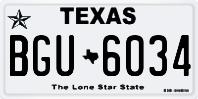 TX license plate BGU6034