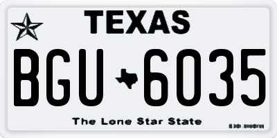 TX license plate BGU6035