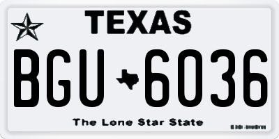 TX license plate BGU6036