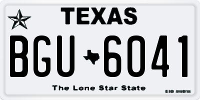 TX license plate BGU6041