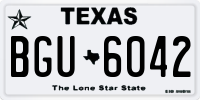 TX license plate BGU6042