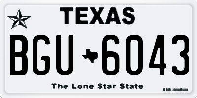 TX license plate BGU6043