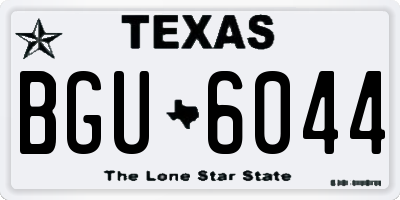 TX license plate BGU6044