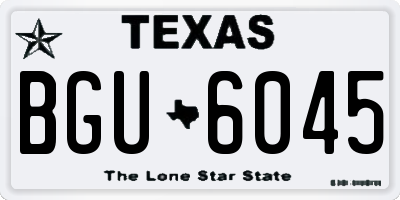 TX license plate BGU6045