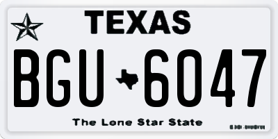 TX license plate BGU6047