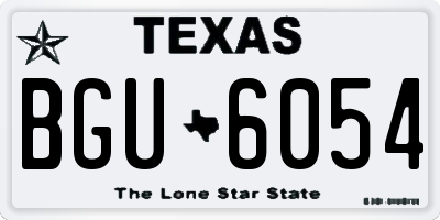 TX license plate BGU6054