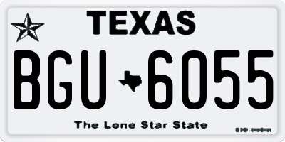 TX license plate BGU6055