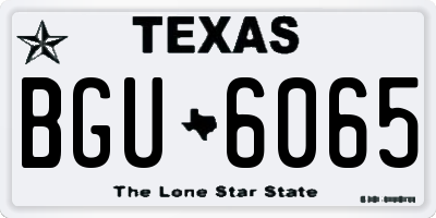 TX license plate BGU6065