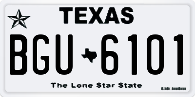 TX license plate BGU6101