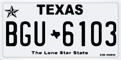 TX license plate BGU6103
