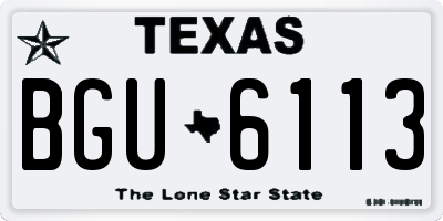 TX license plate BGU6113