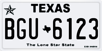 TX license plate BGU6123