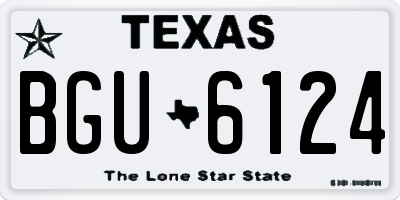 TX license plate BGU6124