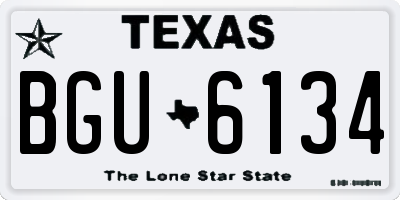 TX license plate BGU6134