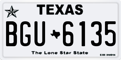 TX license plate BGU6135