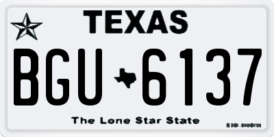 TX license plate BGU6137