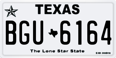 TX license plate BGU6164
