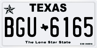 TX license plate BGU6165