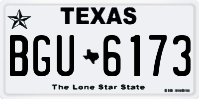 TX license plate BGU6173