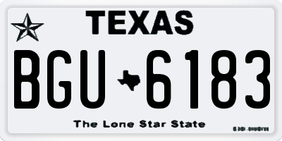 TX license plate BGU6183