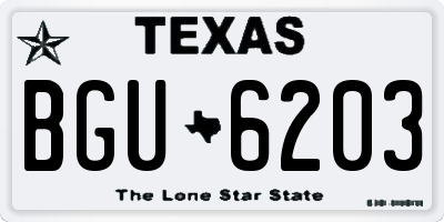 TX license plate BGU6203