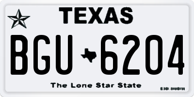 TX license plate BGU6204