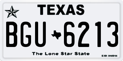 TX license plate BGU6213