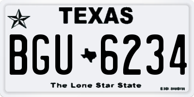 TX license plate BGU6234