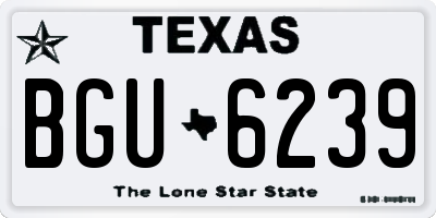 TX license plate BGU6239