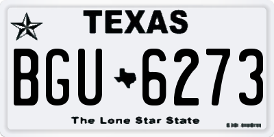 TX license plate BGU6273
