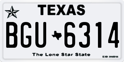 TX license plate BGU6314